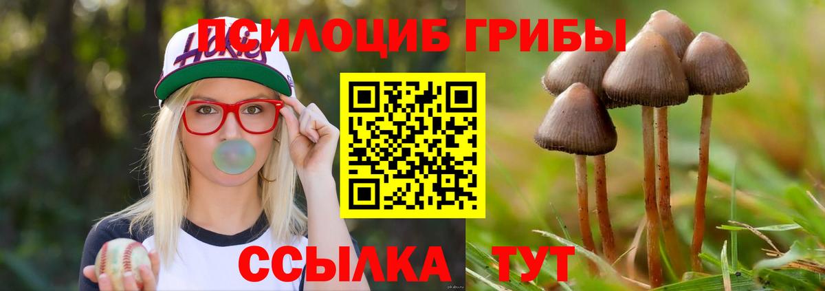 Галлюциногенные грибы GOLDEN TEACHER  Вход с VPN  Рязань 